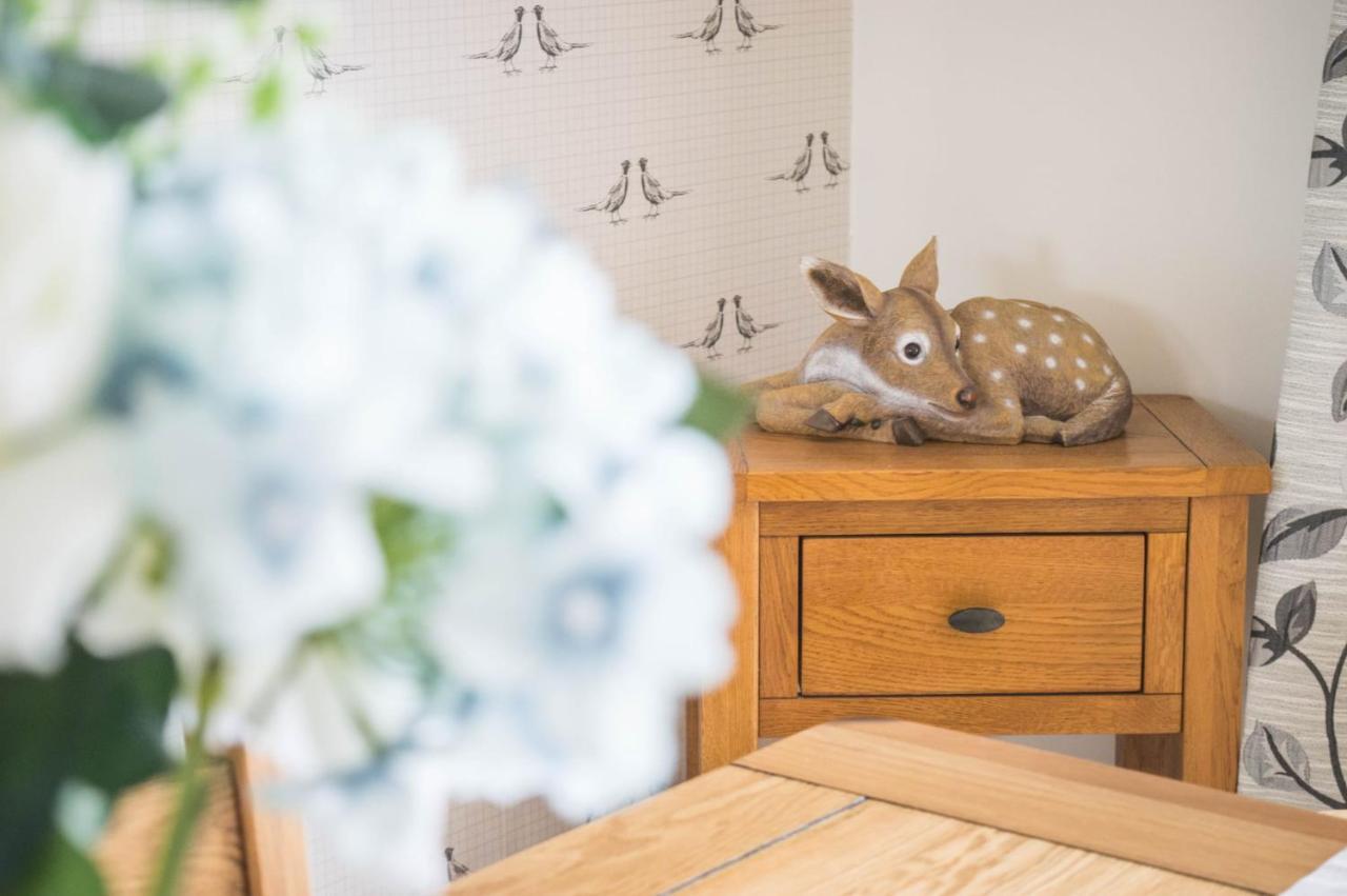 The Heights & Hollows Farmhouse, Saul, Downpatrick, Sleeps 14 Extérieur photo
